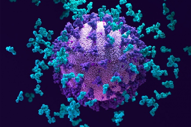 Ученые нашли уязвимости в геноме коронавируса