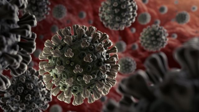 Вопрос двух недель: Эксперт рассказал о слабом месте коронавируса