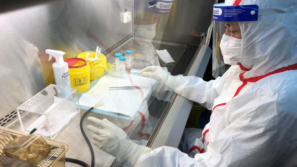 Учёные объявили о доказательстве естественного происхождения нового коронавируса