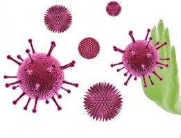 ЗУКОМИ МАВСИМӢ ДАР ТОҶИКИСТОН: ТАҲЛИЛИ ЭПИДЕМИОЛОГӢ, ХУСУСИЯТИ ПАТОГЕНЕЗ ВА ИМКОНИЯТҲОИ ТАКМИЛИ СТРАТЕГИИ НАЗОРАТИ САНИТАРИЮ ЭПИДЕМИОЛОГӢ