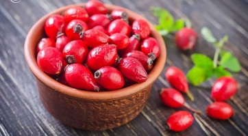 АҲАМИЯТИ ШИФОБАХШИИ ХУЧ ДАР ТАБОБАТИ БЕМОРОНИ УРОЛОГӢ