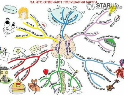 ИНТЕЛЛЕКТ - КАРТЫ  С ИХ ПОМОЩЬЮ МОЖНО ОТОБРАЗИТЬ И СИСТЕМАТИЗИРОВАТЬ РАЗНООБРАЗНУЮ ИНФОРМАЦИЮ