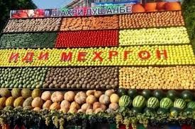 ҶАШНИ МЕҲРГОН ВА САЛОМАТИИ ҶАМЪИЯТ: ТАҲЛИЛИ ПСИХОСОТСИОЛОГИИ АНЪАНАҲОИ МИЛЛИИ ТОҶИКИСТОН