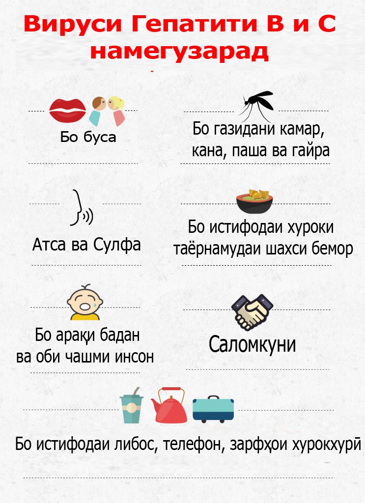 Эмкунӣ ҳамчун омили пойдории ҳаёти солим, пешгирии паҳншавии  гепатитҳо